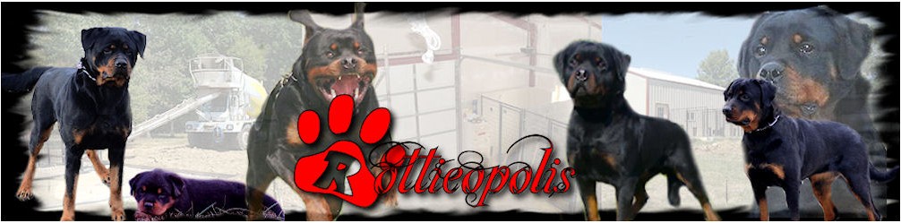 rottieopolisbanner2