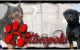 rottieopolisbanner2