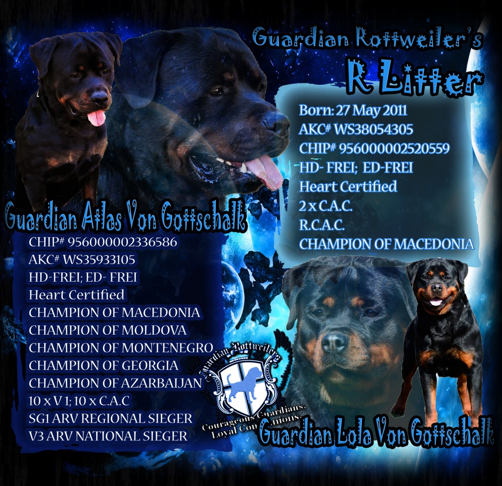 RLitter_Atlas_Lola_banner