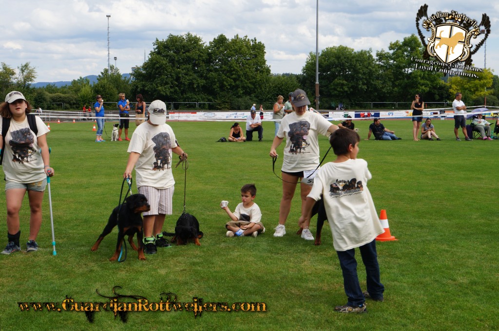 ADRKKS_2013_062