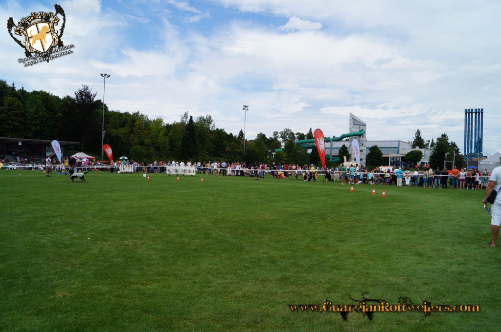 ADRKKS_2013_093