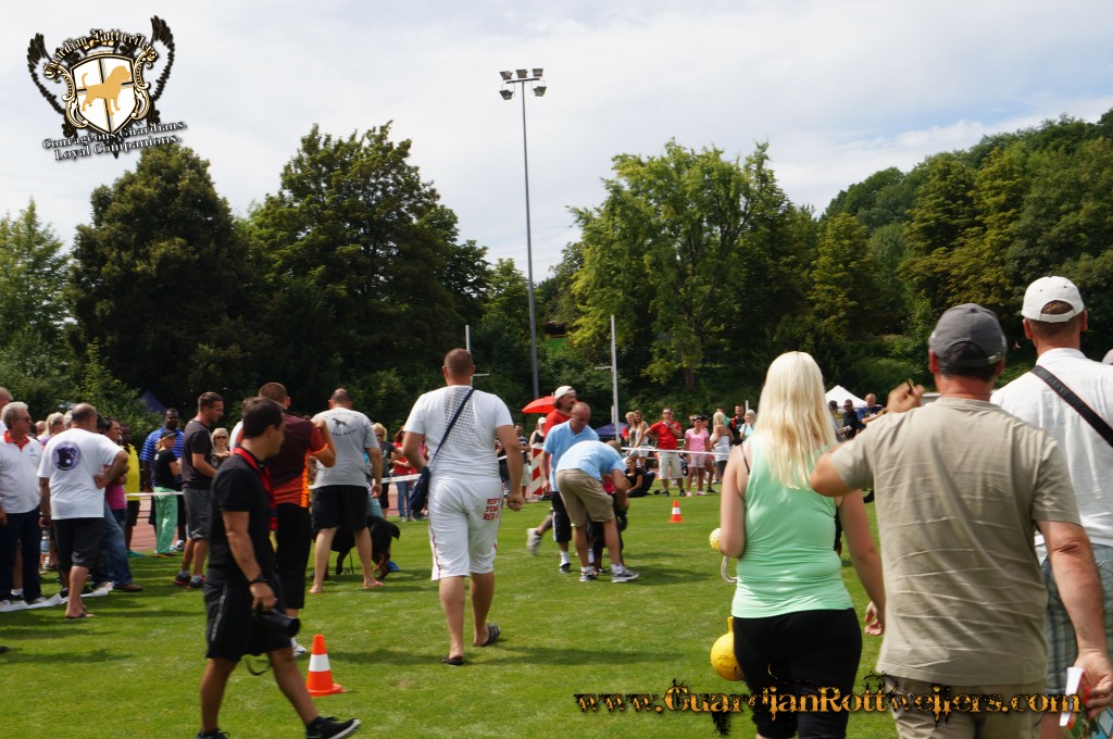 ADRKKS_2013_100