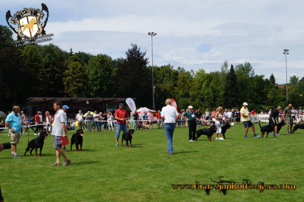 ADRKKS_2013_102