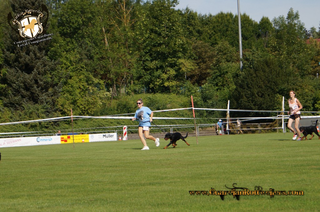 ADRKKS_2013_166