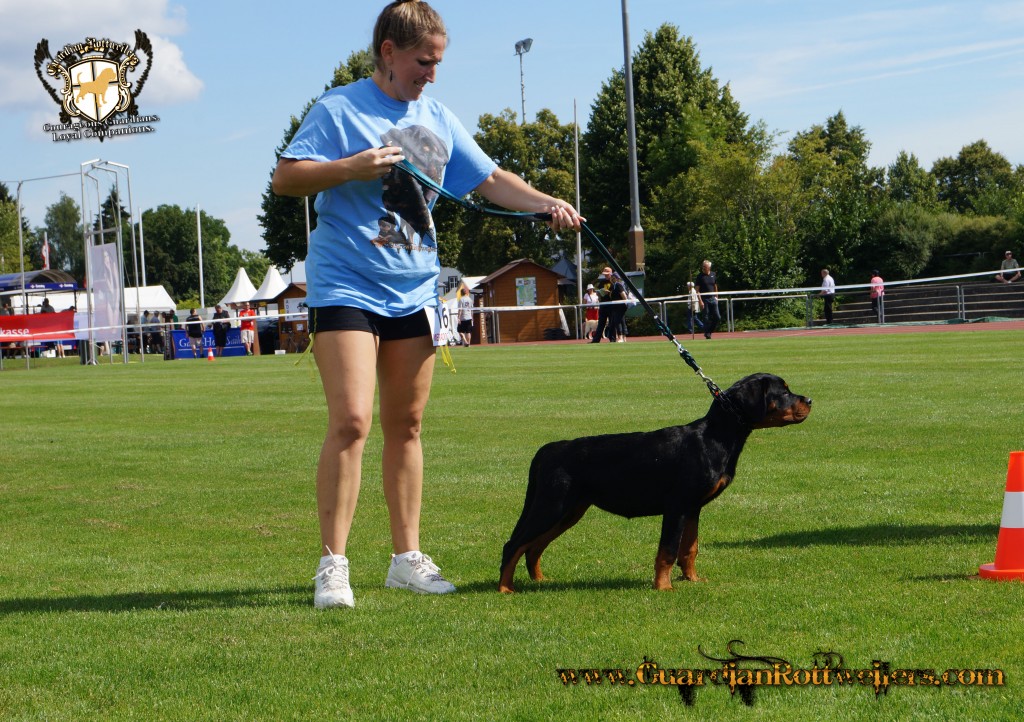 ADRKKS_2013_171