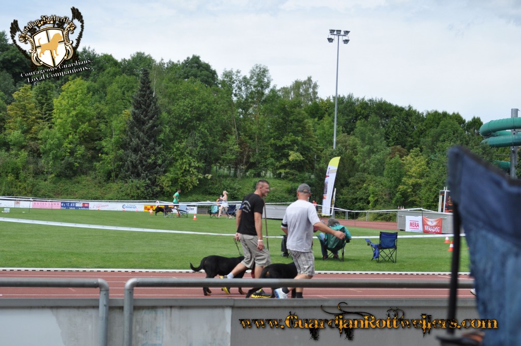 ADRKKS_2013_385