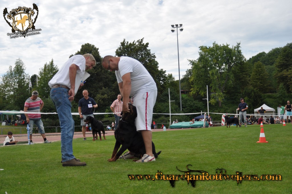 ADRKKS_2013_416