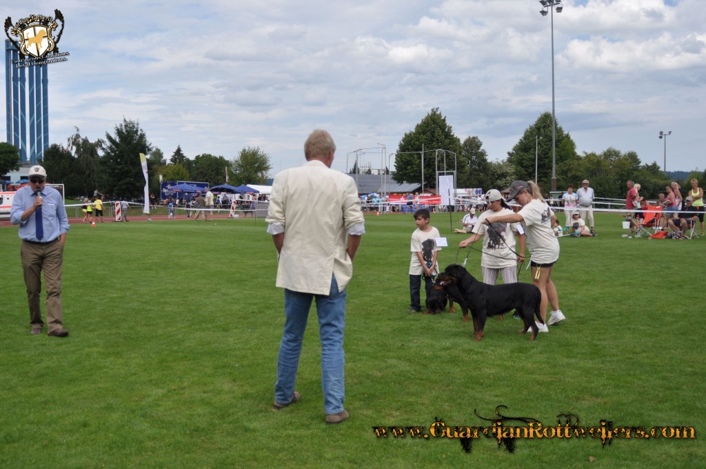 ADRKKS_2013_417