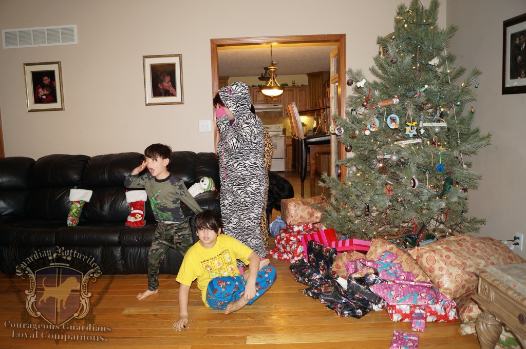 ChristmasMorning_2014_01