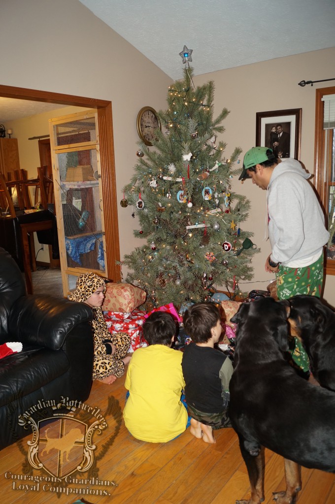 ChristmasMorning_2014_14