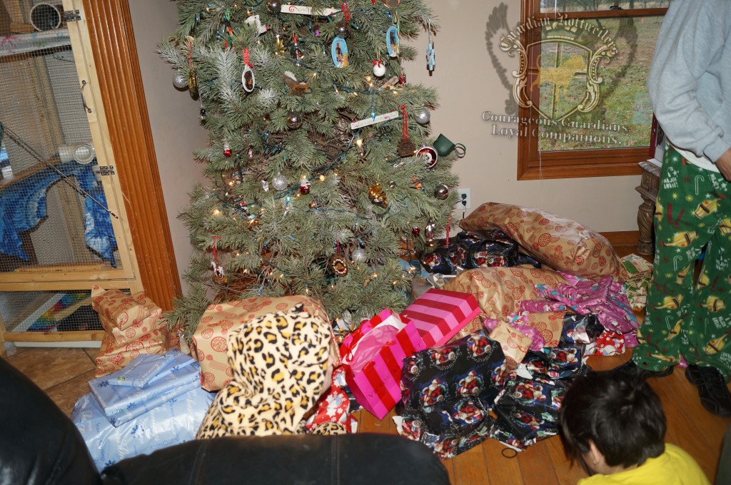 ChristmasMorning_2014_15