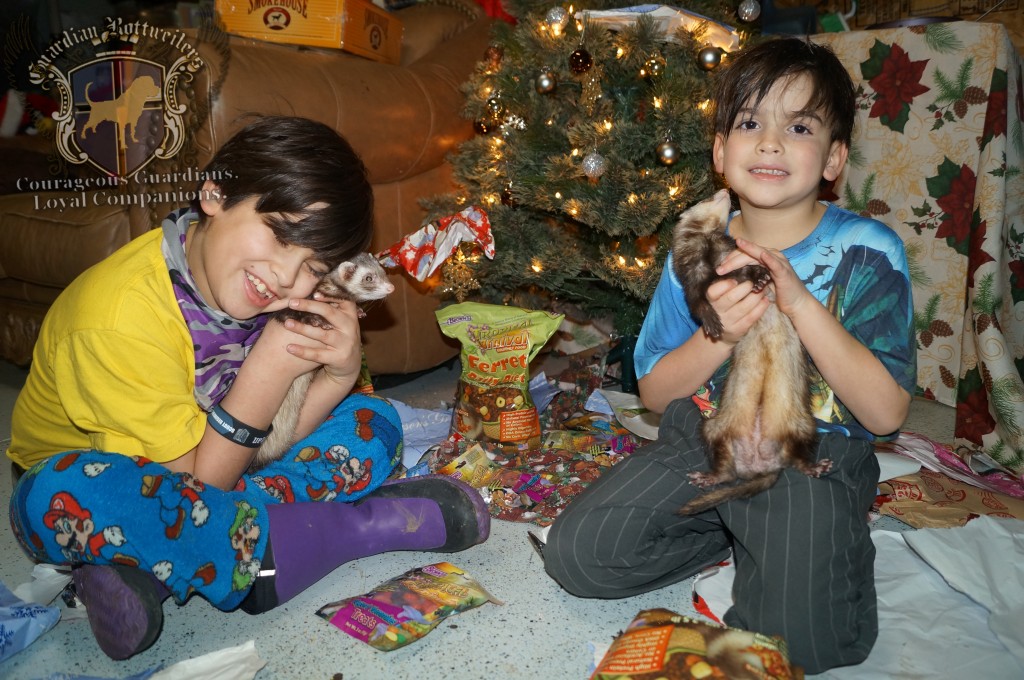 ChristmasMorning_2014_95