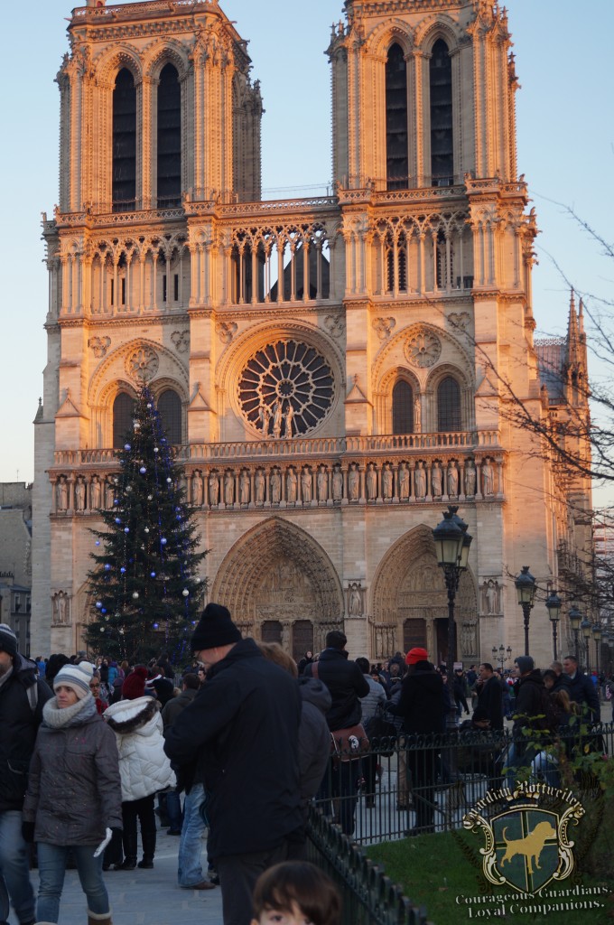 2015NewYearsParis_005