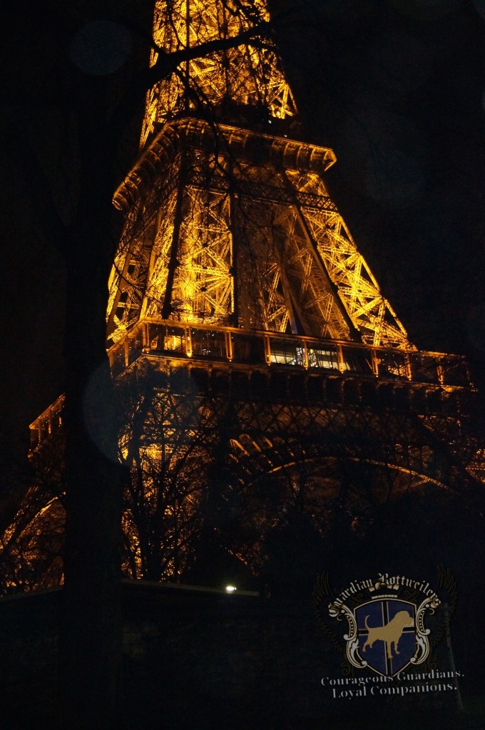 2015NewYearsParis_024