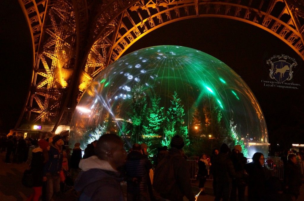 2015NewYearsParis_029