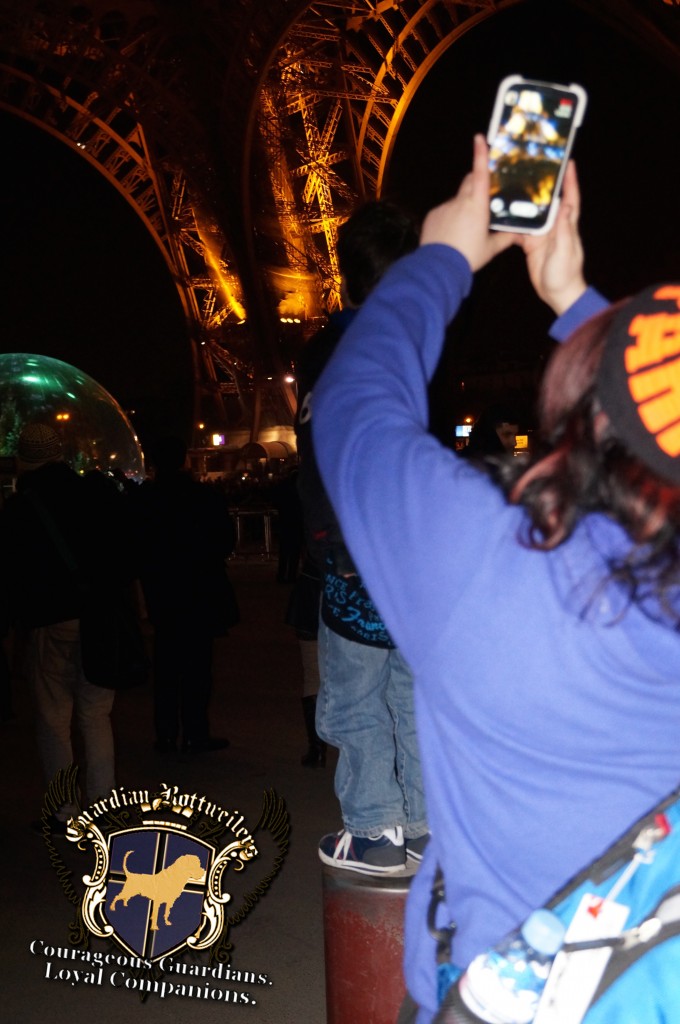 2015NewYearsParis_034