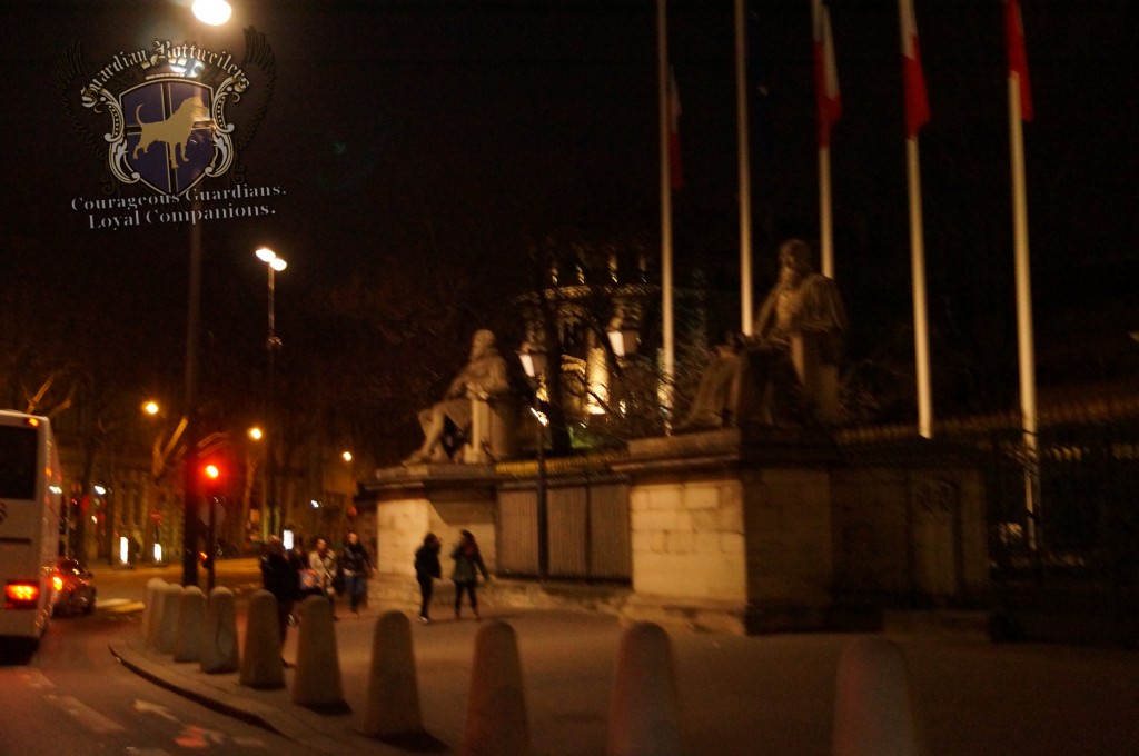 2015NewYearsParis_044