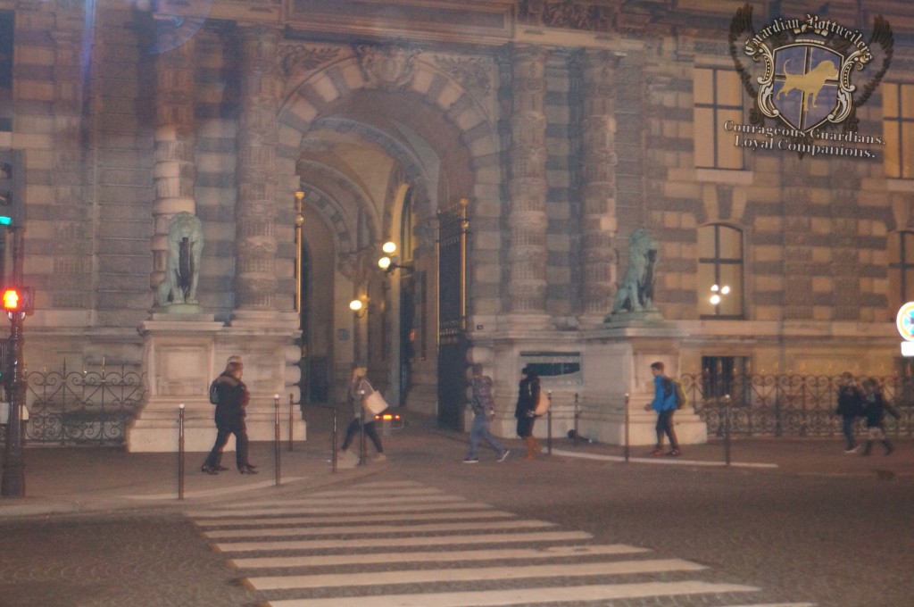 2015NewYearsParis_045