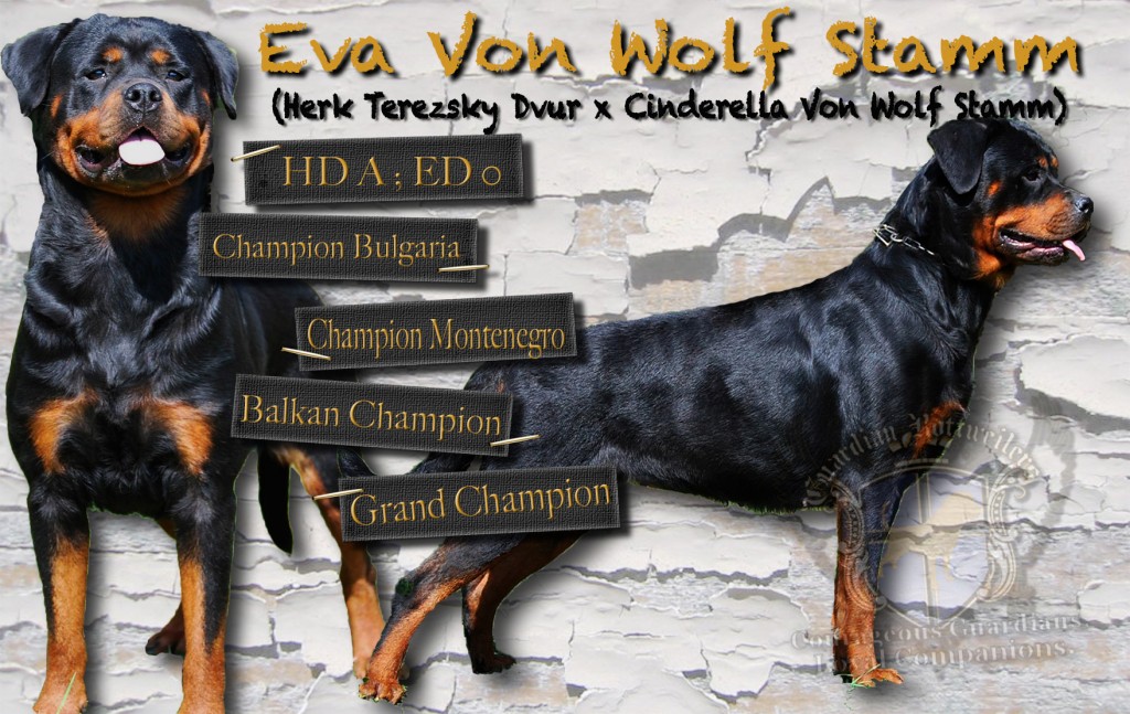 Eva_V_Wolf_Stamm_Card