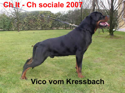 Vico_vom_kressbach