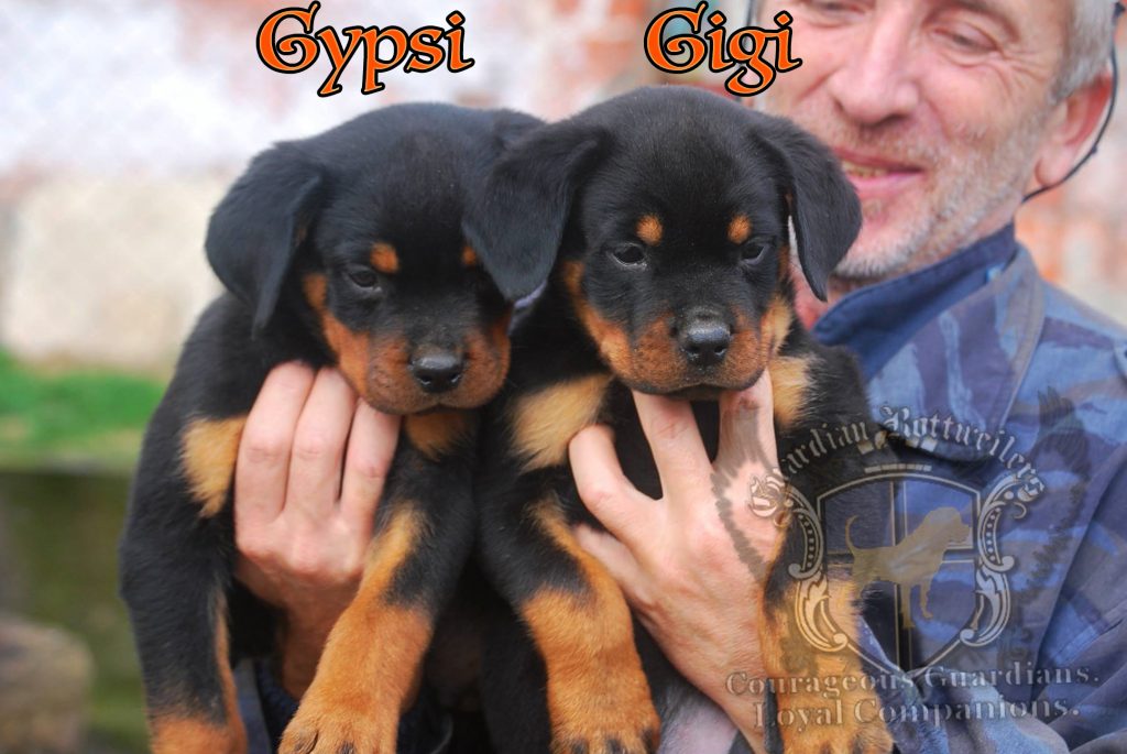 gypsi_gigi02