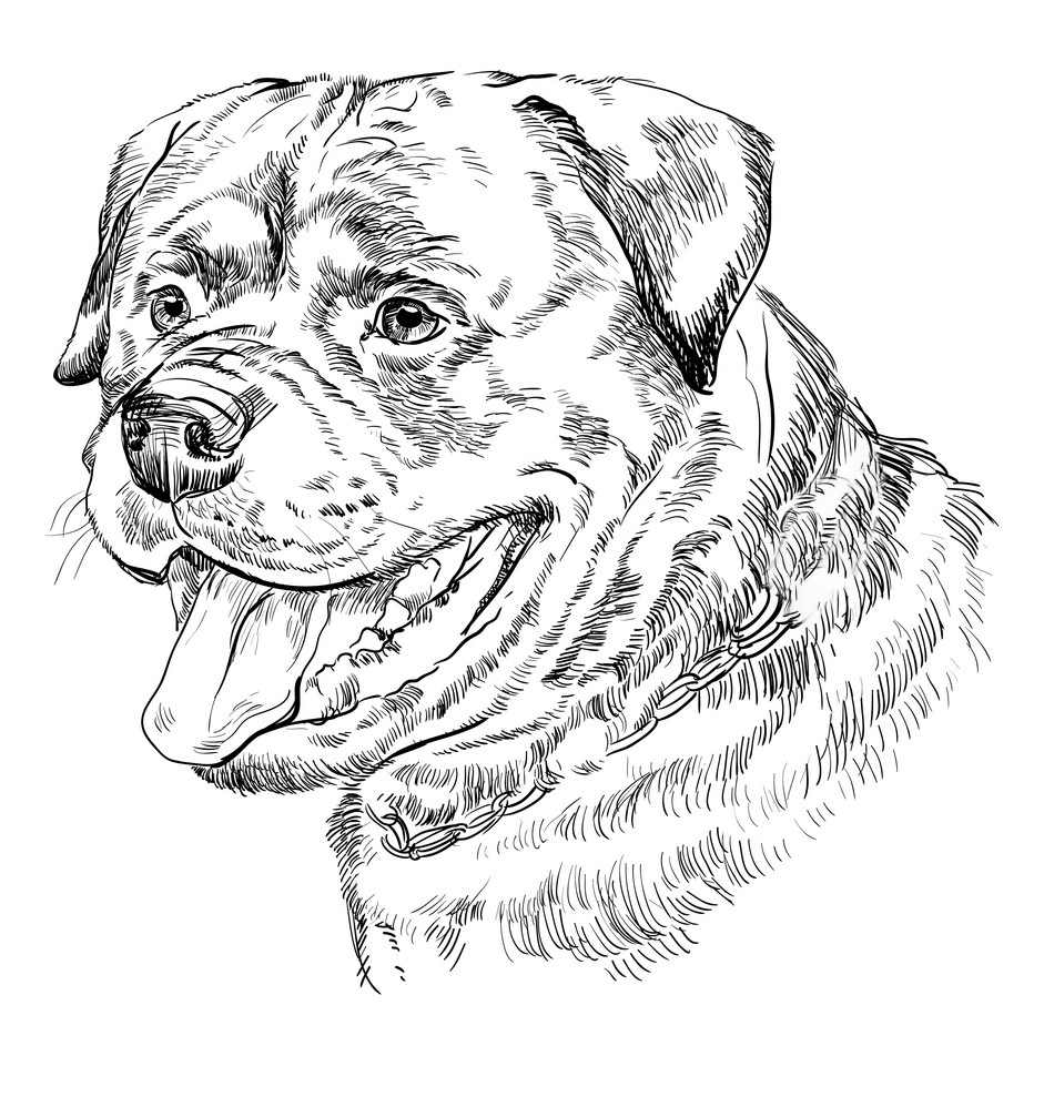 15-rottweiler-puppy-coloring-pages-printable-coloring-pages