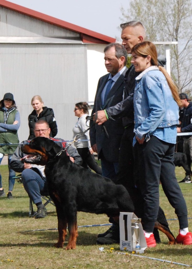 U’Veljko Flash Rouse – Guardian Rottweilers