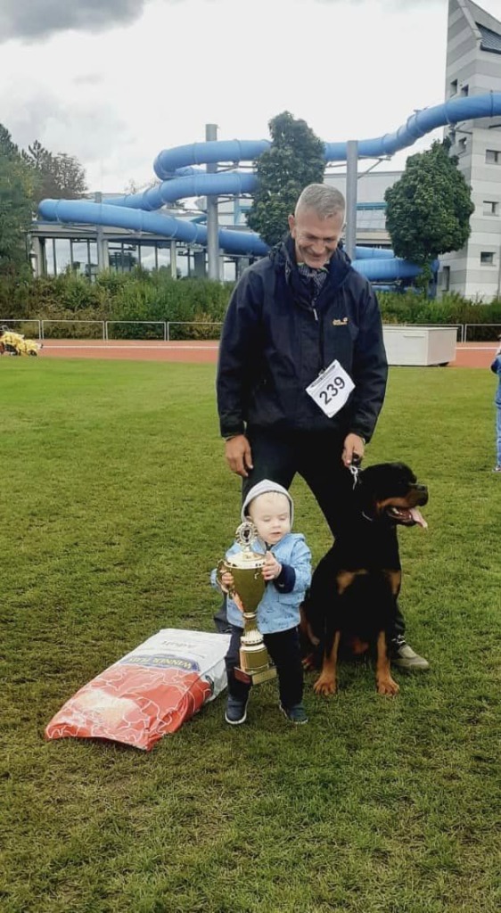 Rouse Rottweilers U’Veljko Flash Rouse – Guardian Rottweilers